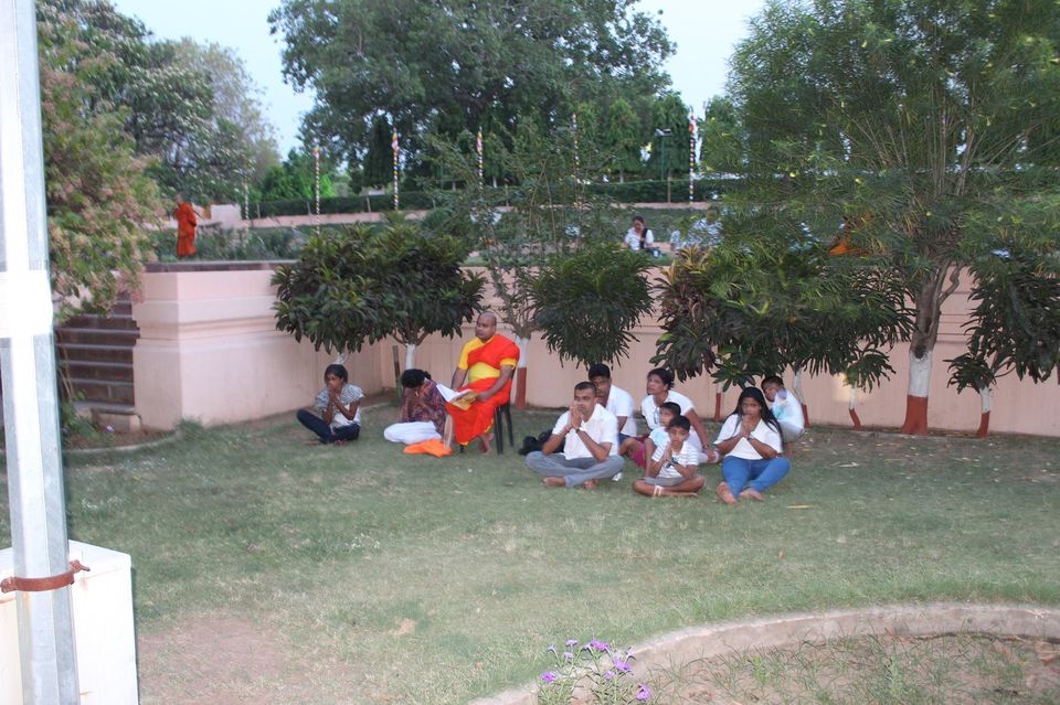 Photo of Under The Bodhi Tree by Anuj Tikku