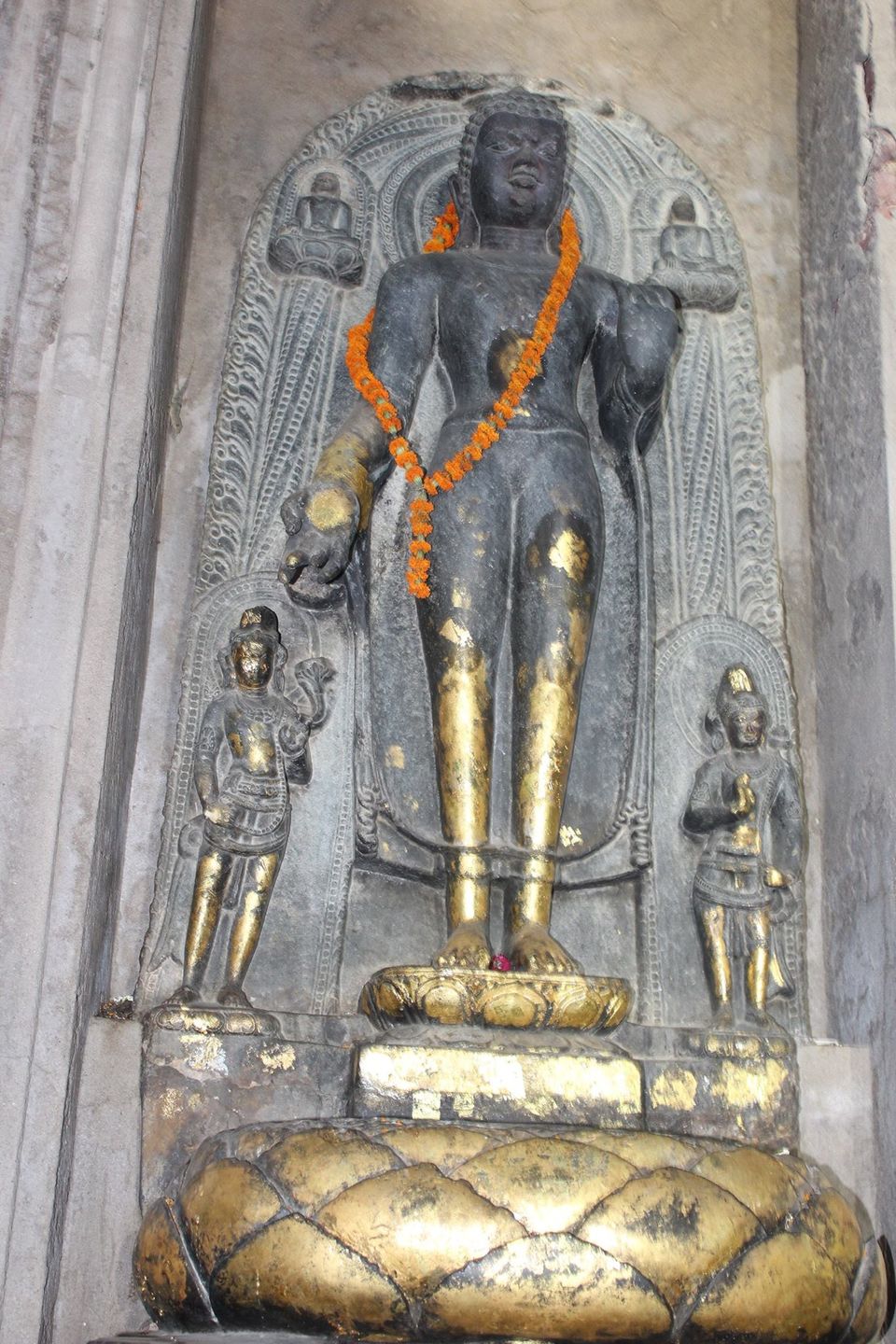 Photo of Under The Bodhi Tree by Anuj Tikku