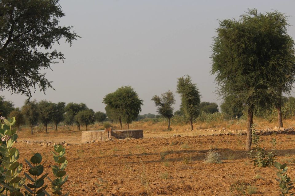 Photo of Pushkar, Rajasthan, India by Anuj Tikku