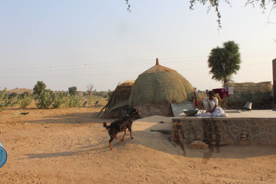 Photo of Pushkar, Rajasthan, India by Anuj Tikku