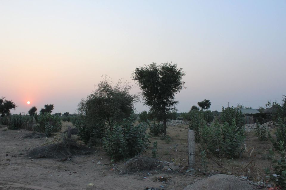 Photo of Pushkar, Rajasthan, India by Anuj Tikku