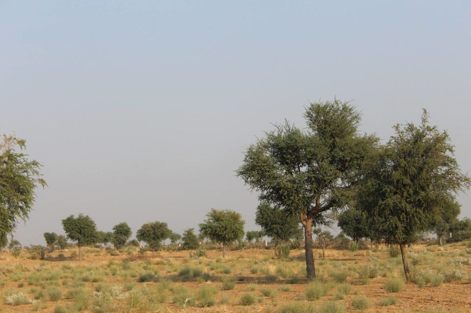 Photo of Pushkar, Rajasthan, India by Anuj Tikku