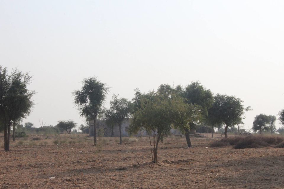 Photo of Pushkar, Rajasthan, India by Anuj Tikku