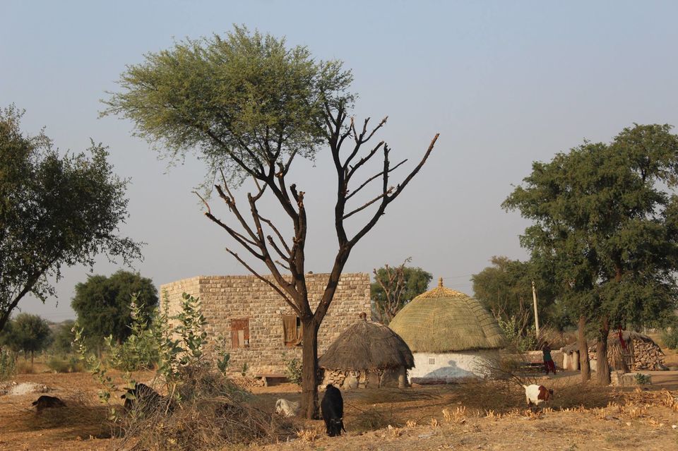 Photo of Pushkar, Rajasthan, India by Anuj Tikku