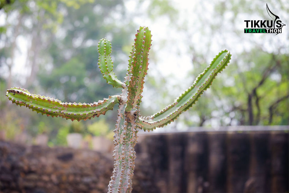 Photo of Rock Garden, Chandigarh, India by Anuj Tikku