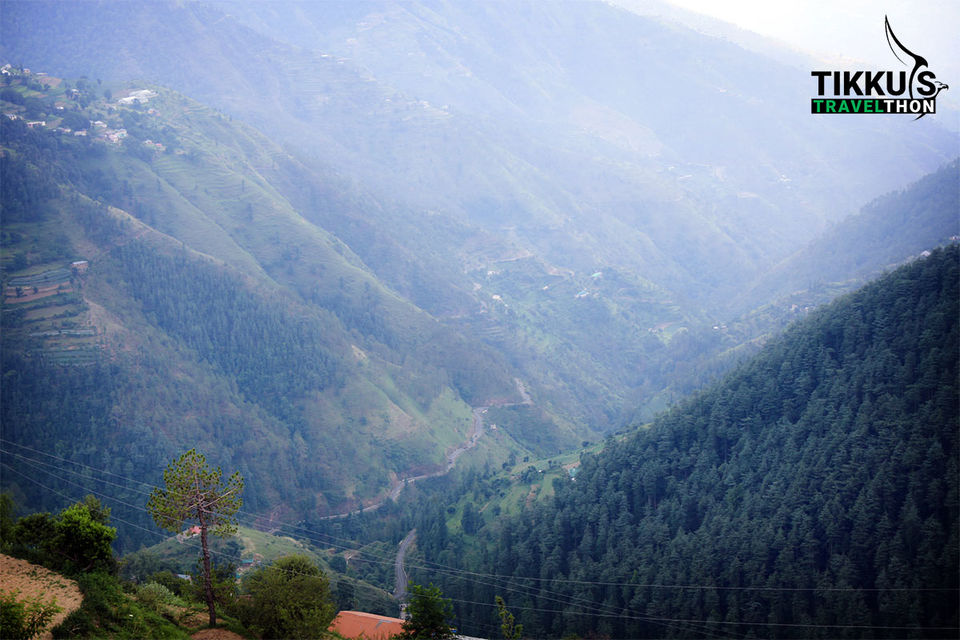 Photo of Shimla to Chail – A Road Trip by Anuj Tikku