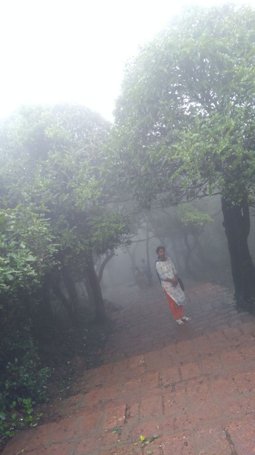 Photo of Enshrine divinity to shirdi....a joyfull voyage to maharasthra by wanderlust sandy