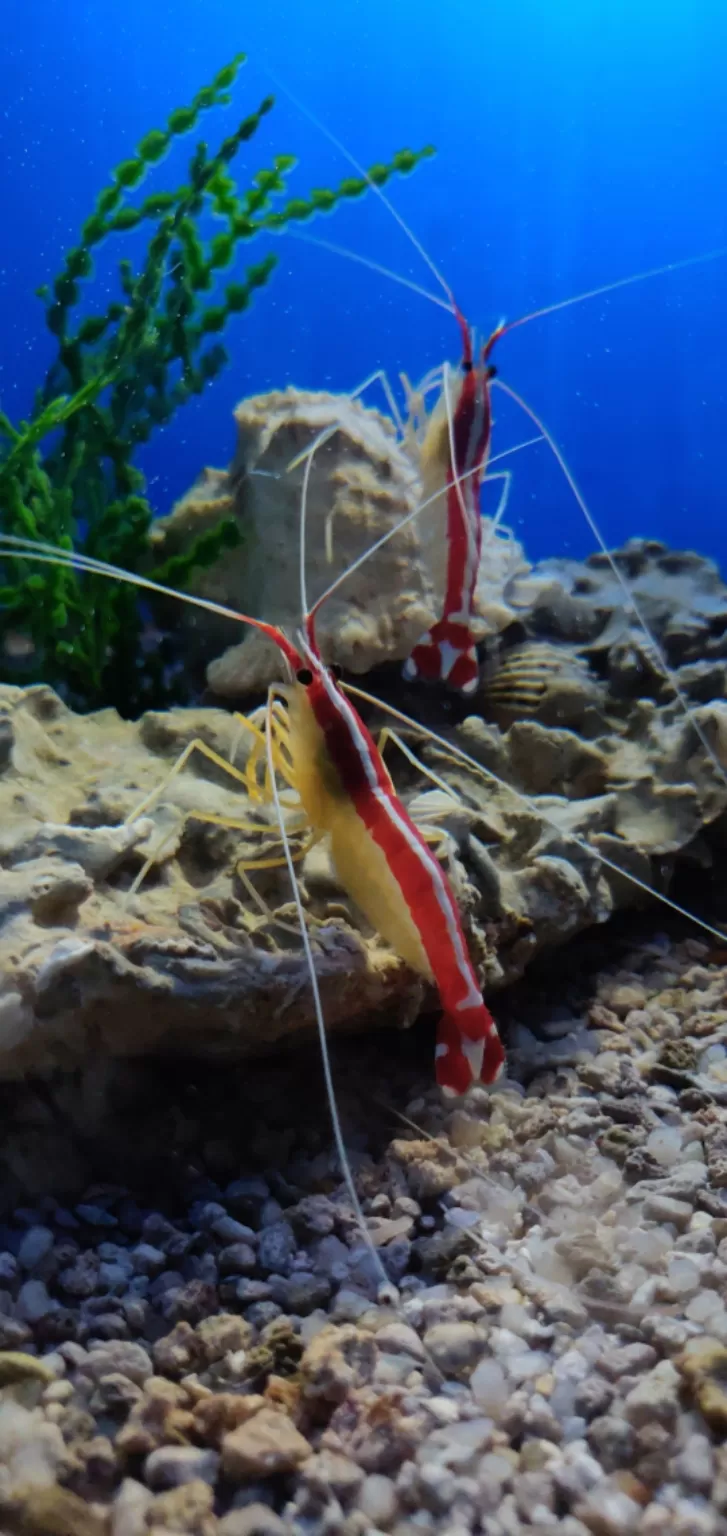 Photo of Underwater World Pattaya, Sukhumvit Road, ตำบล หนองปรือ Bang Lamung District, Chon Buri, Thailand by Tushar Dawar