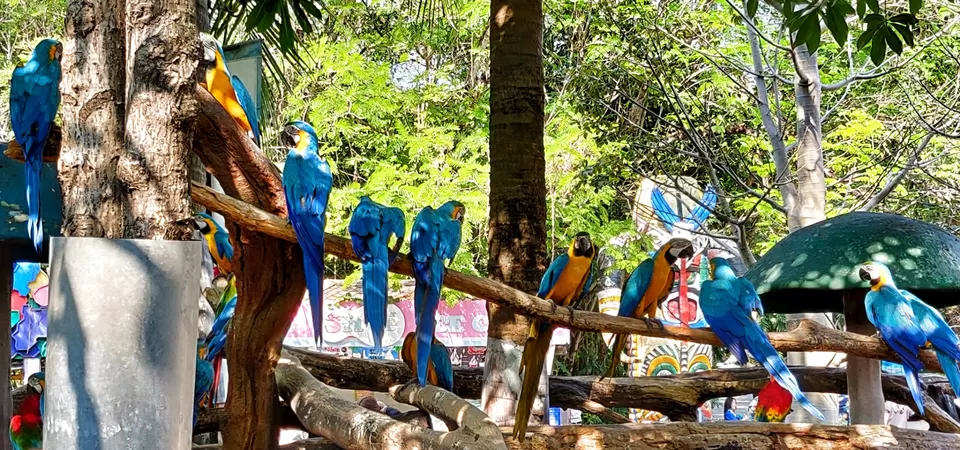 Photo of Safari World, Thanon Panya Intra, Sam Wa Tawan Tok, Khlong Sam Wa, Bangkok, Thailand by Tushar Dawar