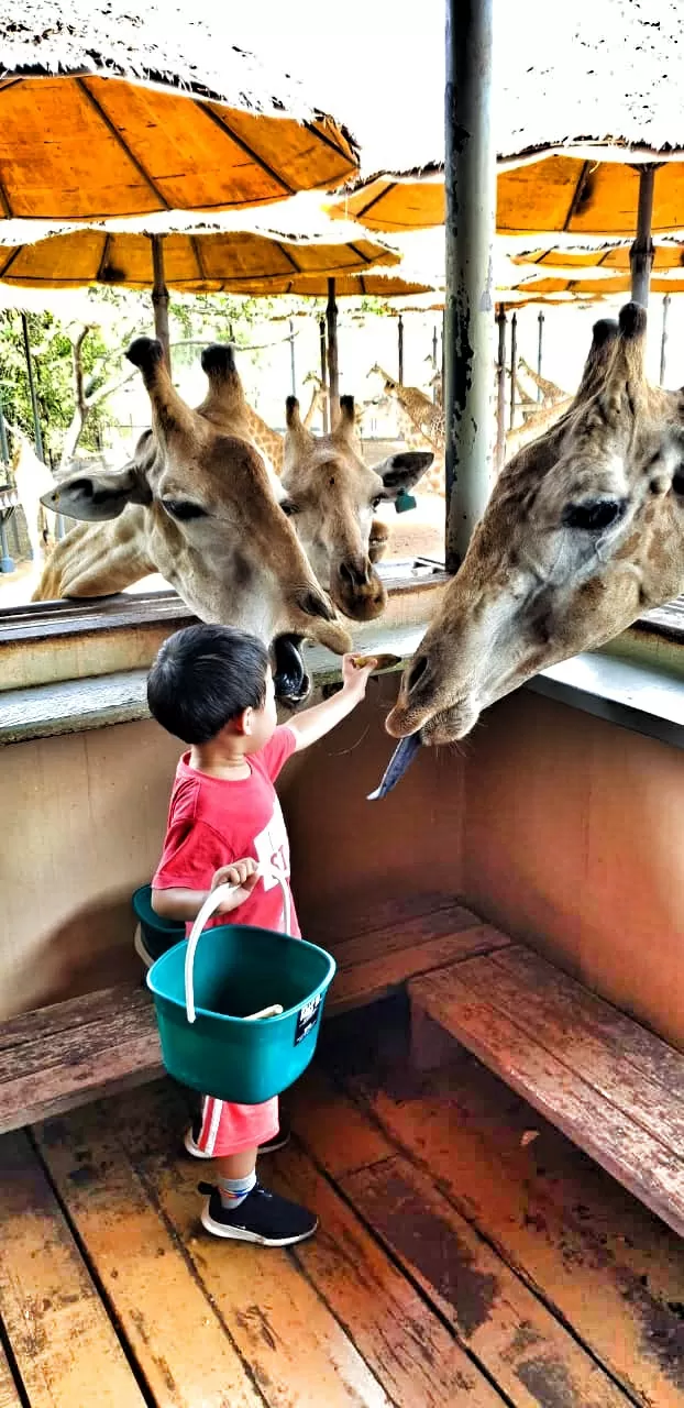 Photo of Safari World, Thanon Panya Intra, Sam Wa Tawan Tok, Khlong Sam Wa, Bangkok, Thailand by Tushar Dawar