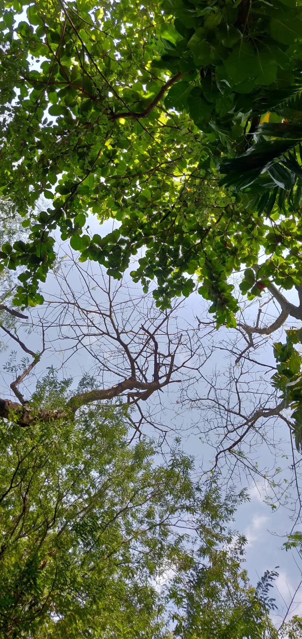 Photo of Safari World, Thanon Panya Intra, Sam Wa Tawan Tok, Khlong Sam Wa, Bangkok, Thailand by Tushar Dawar