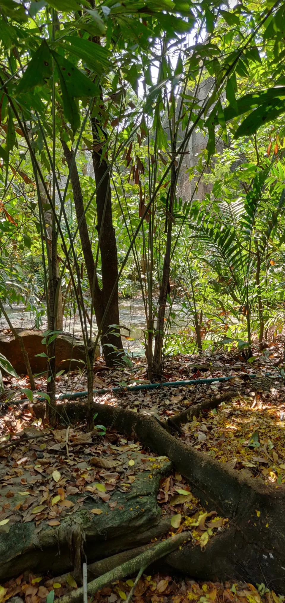 Photo of Safari World, Thanon Panya Intra, Sam Wa Tawan Tok, Khlong Sam Wa, Bangkok, Thailand by Tushar Dawar