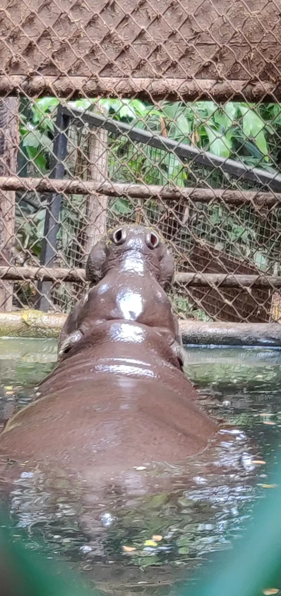 Photo of Safari World, Thanon Panya Intra, Sam Wa Tawan Tok, Khlong Sam Wa, Bangkok, Thailand by Tushar Dawar