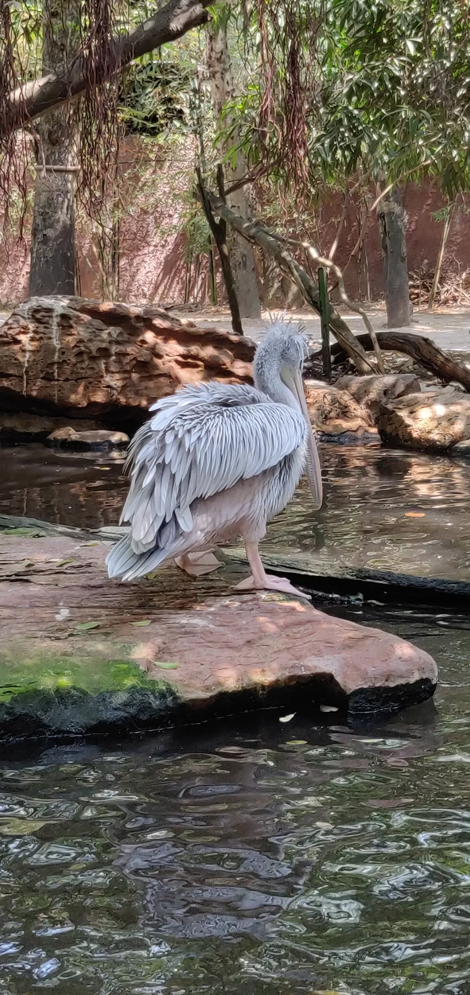 Photo of Safari World, Thanon Panya Intra, Sam Wa Tawan Tok, Khlong Sam Wa, Bangkok, Thailand by Tushar Dawar