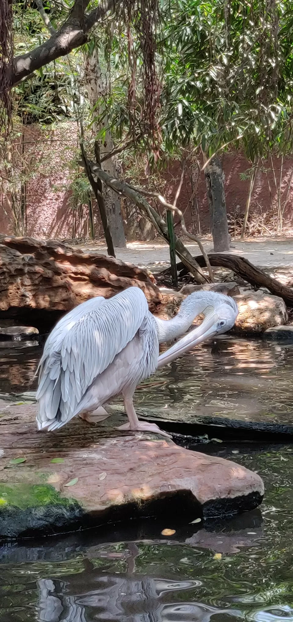 Photo of Safari World, Thanon Panya Intra, Sam Wa Tawan Tok, Khlong Sam Wa, Bangkok, Thailand by Tushar Dawar