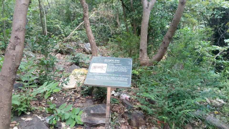Photo of Tada waterfalls by Srinivas Guptha