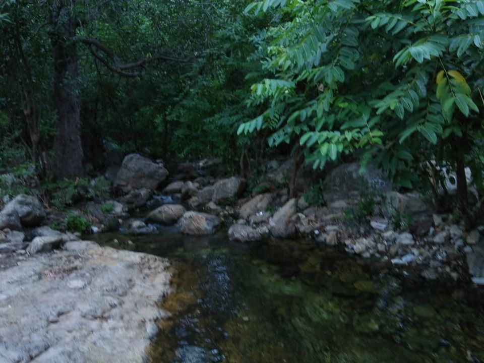 Photo of Tada waterfalls by Srinivas Guptha
