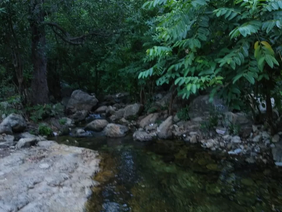 Photo of Tada waterfalls by Srinivas Guptha