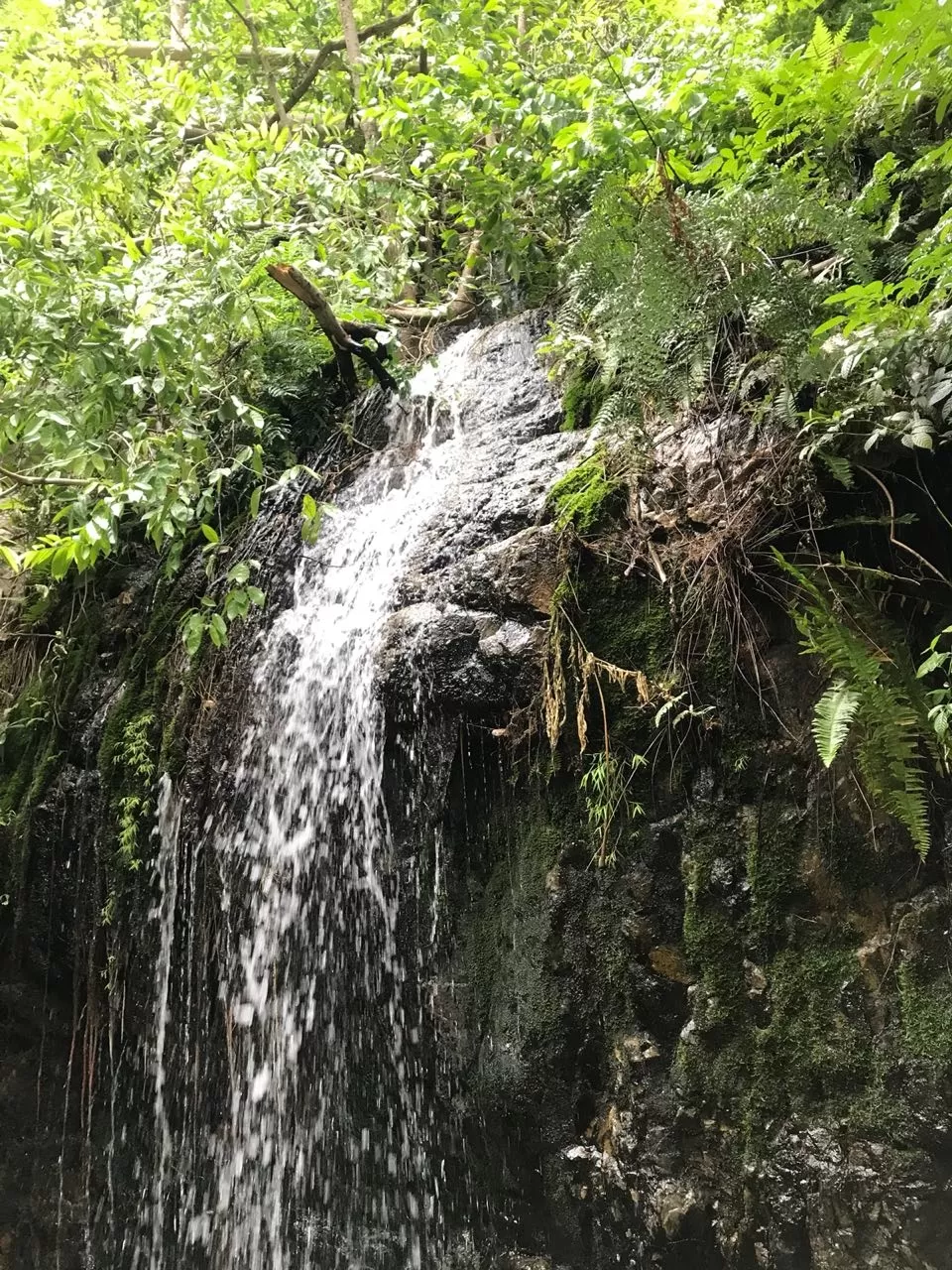 Photo of Tada waterfalls by Srinivas Guptha