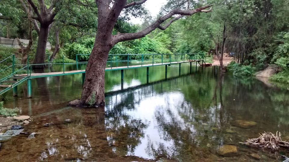 Photo of Tada waterfalls by Srinivas Guptha