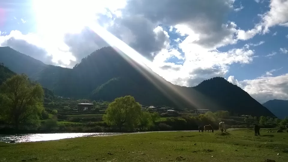 Photo of IMTRT, Bhutan by K. Dave