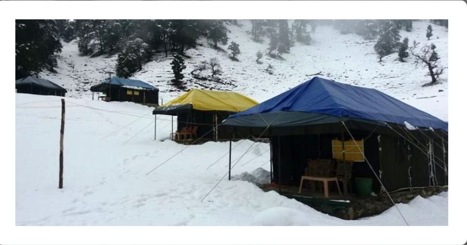 Photo of Story of Himalayan Tunganath Trek : World's Highest Shiva's Temple 4/4 by Sweta Arya