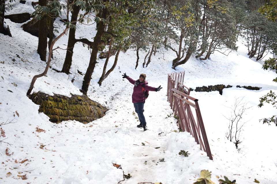 Photo of Story of Himalayan Tunganath Trek : World's Highest Shiva's Temple by Sweta Arya