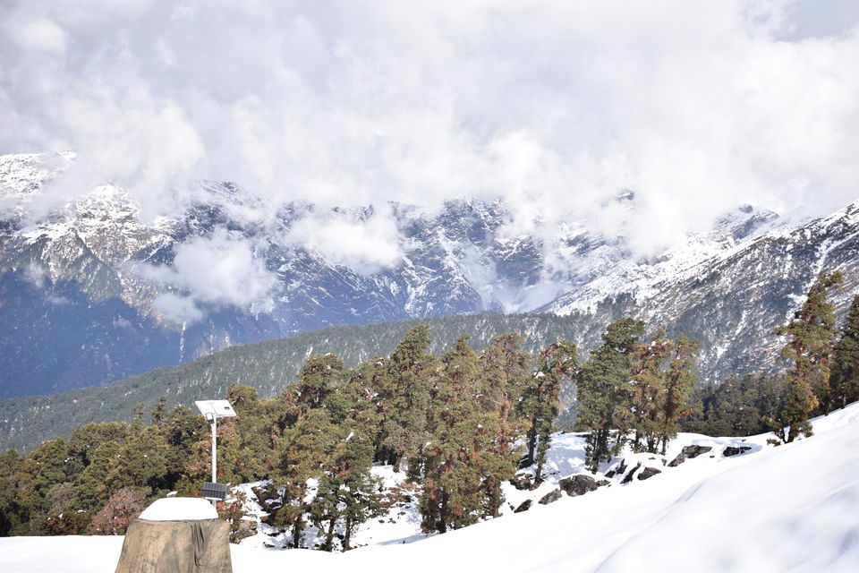 Photo of Story of Himalayan Tunganath Trek : World's Highest Shiva's Temple by Sweta Arya
