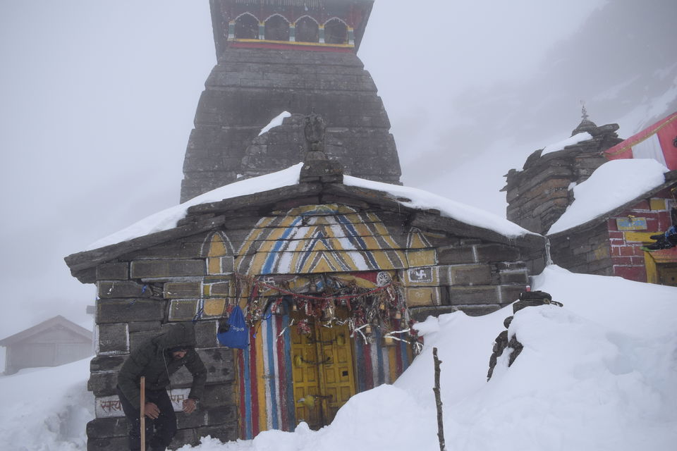 Photo of Story of Himalayan Tunganath Trek : World's Highest Shiva's Temple by Sweta Arya