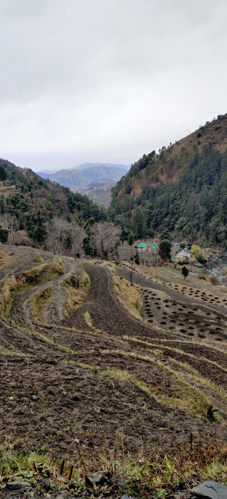 Photo of Baggi, Himachal Pradesh, India by Ipshita Debnath