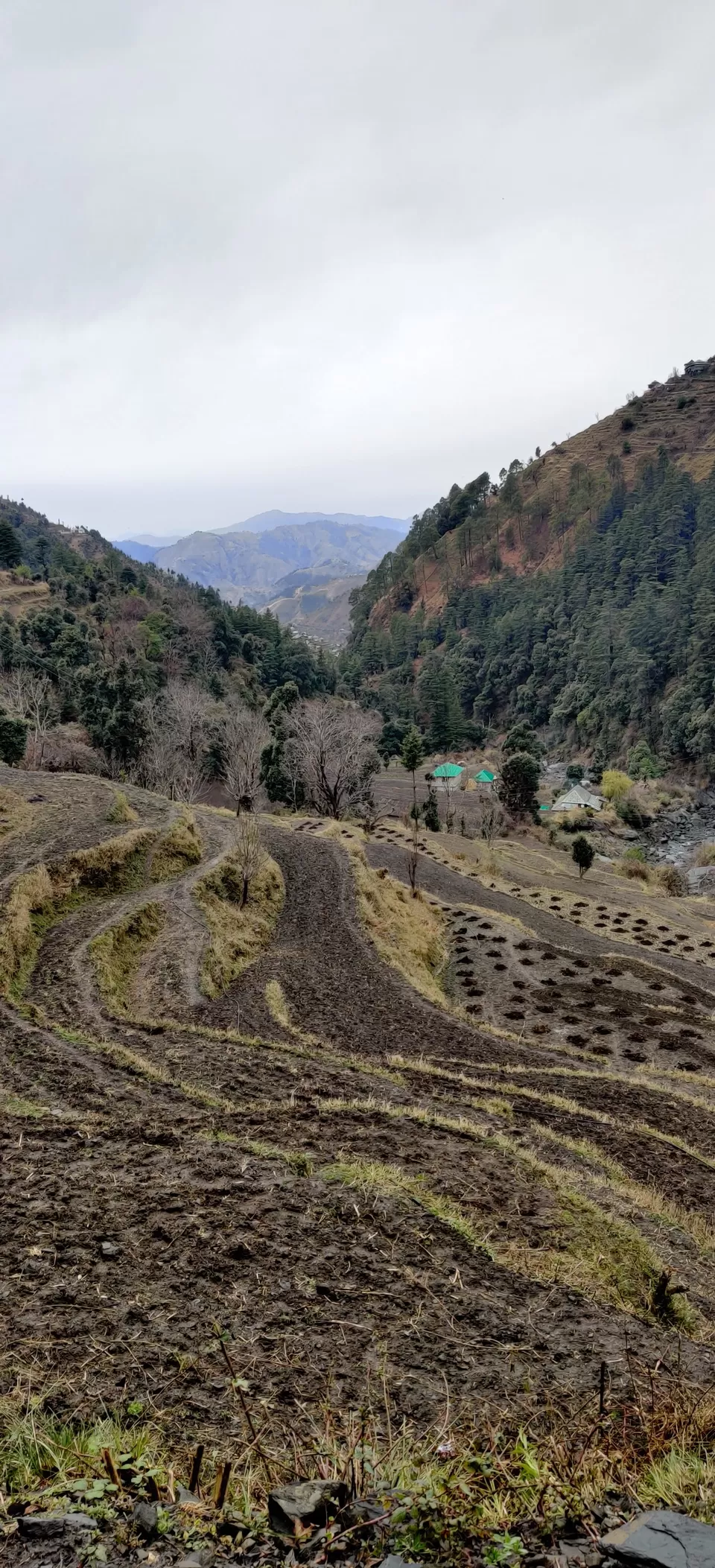 Photo of Baggi, Himachal Pradesh, India by Ipshita Debnath