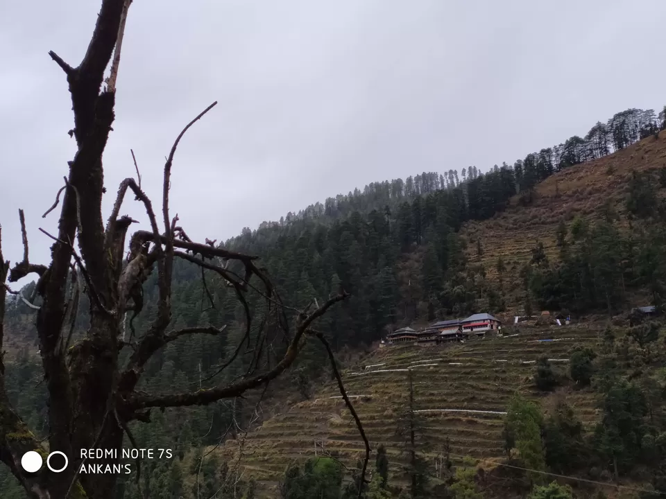 Photo of Baggi, Himachal Pradesh, India by Ipshita Debnath