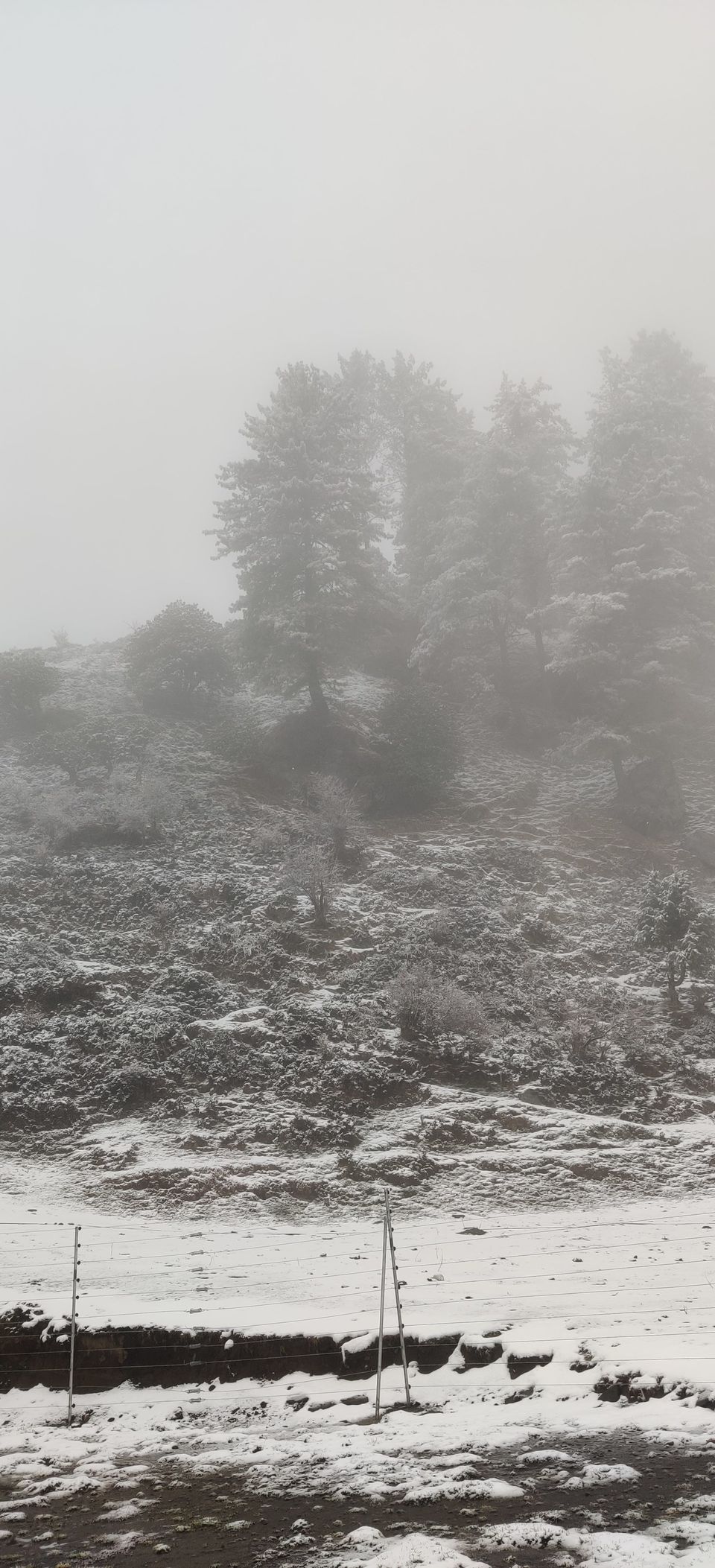 Photo of Baggi, Himachal Pradesh, India by Ipshita Debnath