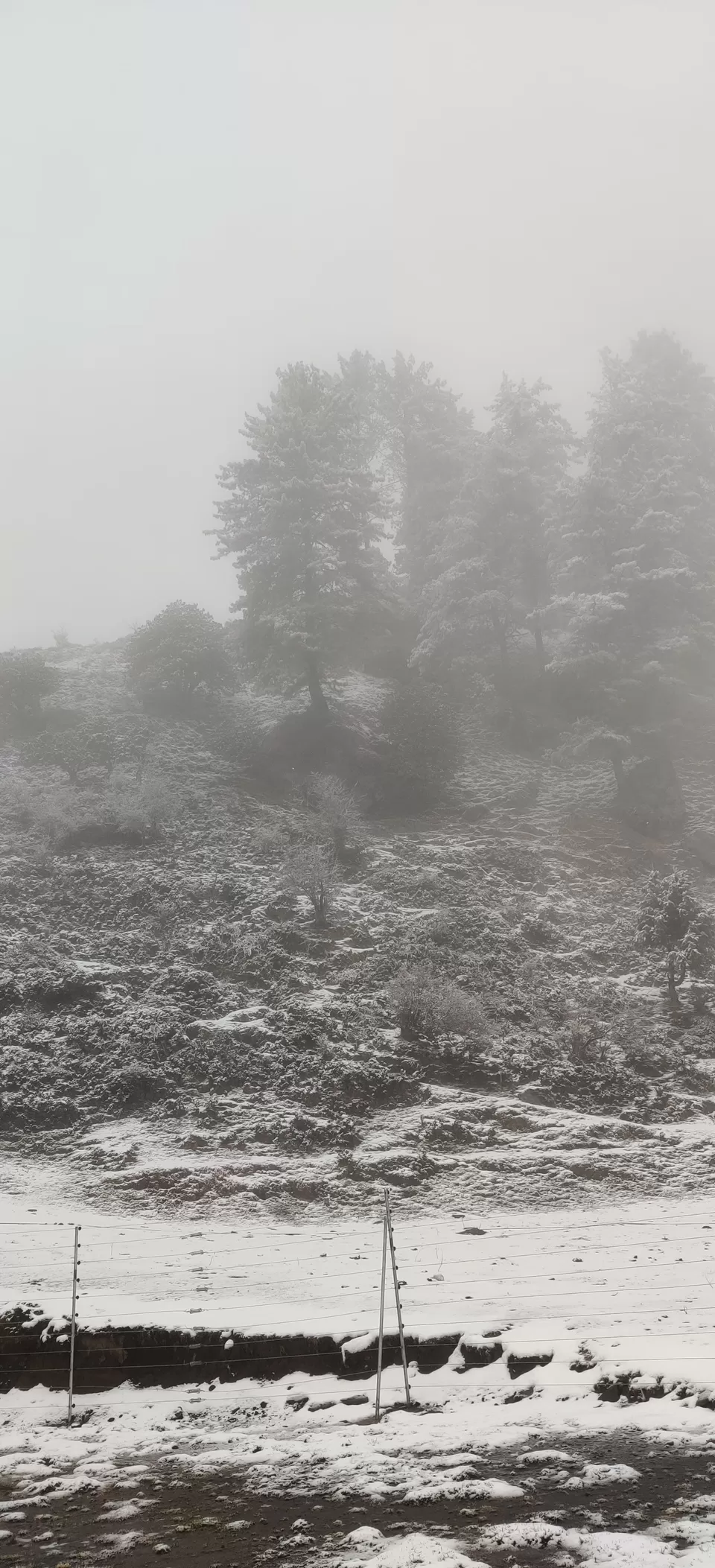 Photo of Baggi, Himachal Pradesh, India by Ipshita Debnath