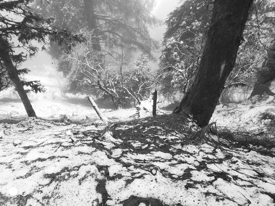 Photo of Baggi, Himachal Pradesh, India by Ipshita Debnath