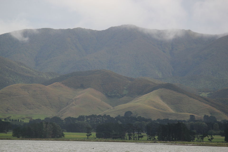 Photo of My Big Kiwi Adventure Log I: That Glorious Journey from Auckland to Marlborough Sounds by Rahul Poonja