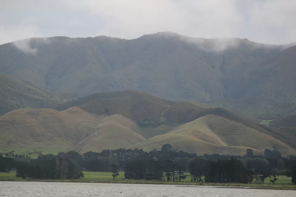Photo of My Big Kiwi Adventure Log I: That Glorious Journey from Auckland to Marlborough Sounds by Rahul Poonja