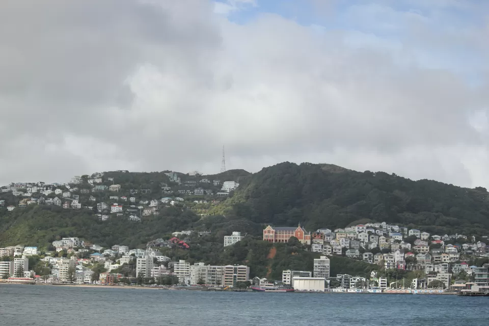 Photo of My Big Kiwi Adventure Log I: That Glorious Journey from Auckland to Marlborough Sounds by Rahul Poonja