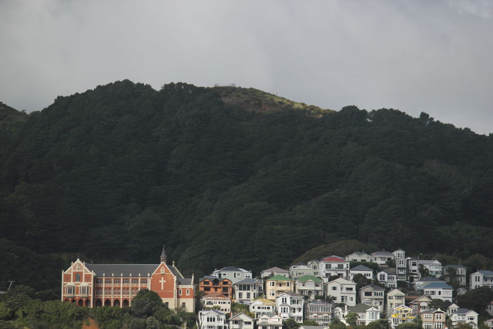 Photo of My Big Kiwi Adventure Log I: That Glorious Journey from Auckland to Marlborough Sounds by Rahul Poonja