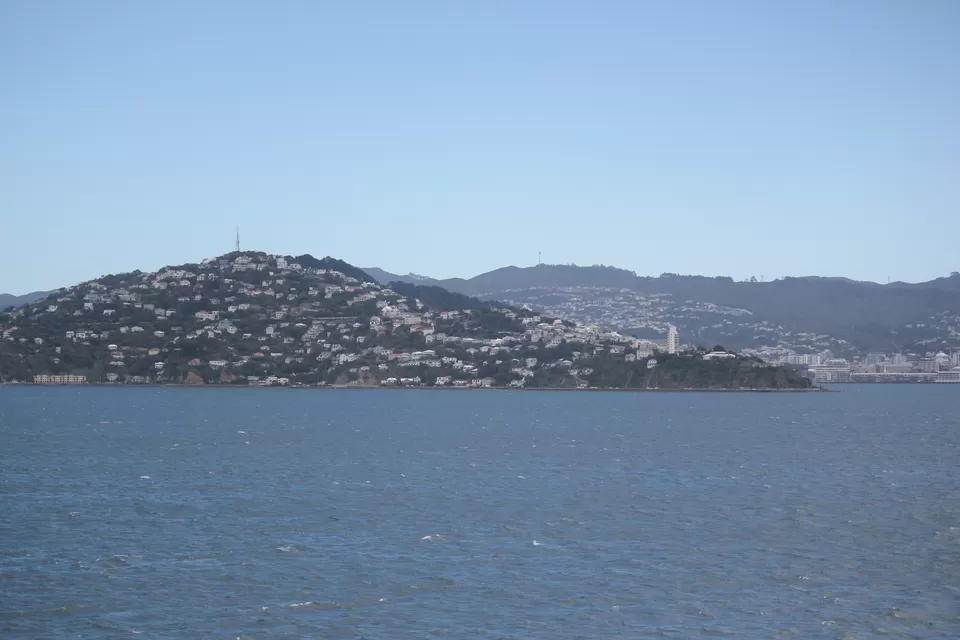 Photo of My Big Kiwi Adventure Log I: That Glorious Journey from Auckland to Marlborough Sounds by Rahul Poonja