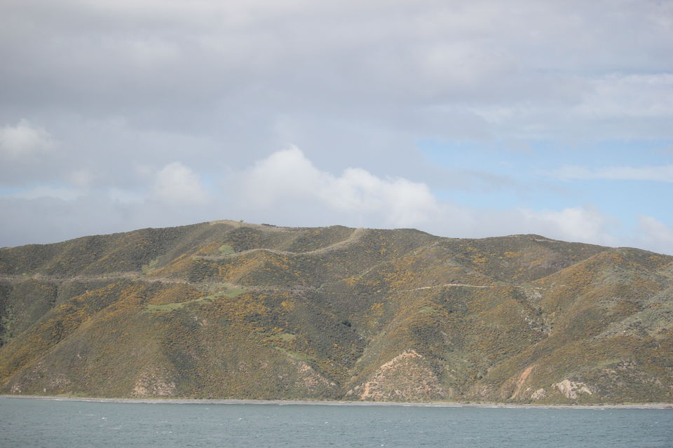 Photo of My Big Kiwi Adventure Log I: That Glorious Journey from Auckland to Marlborough Sounds by Rahul Poonja