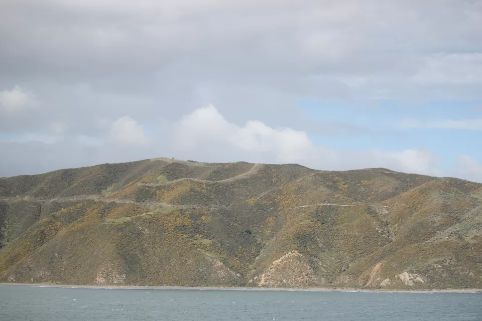 Photo of My Big Kiwi Adventure Log I: That Glorious Journey from Auckland to Marlborough Sounds by Rahul Poonja