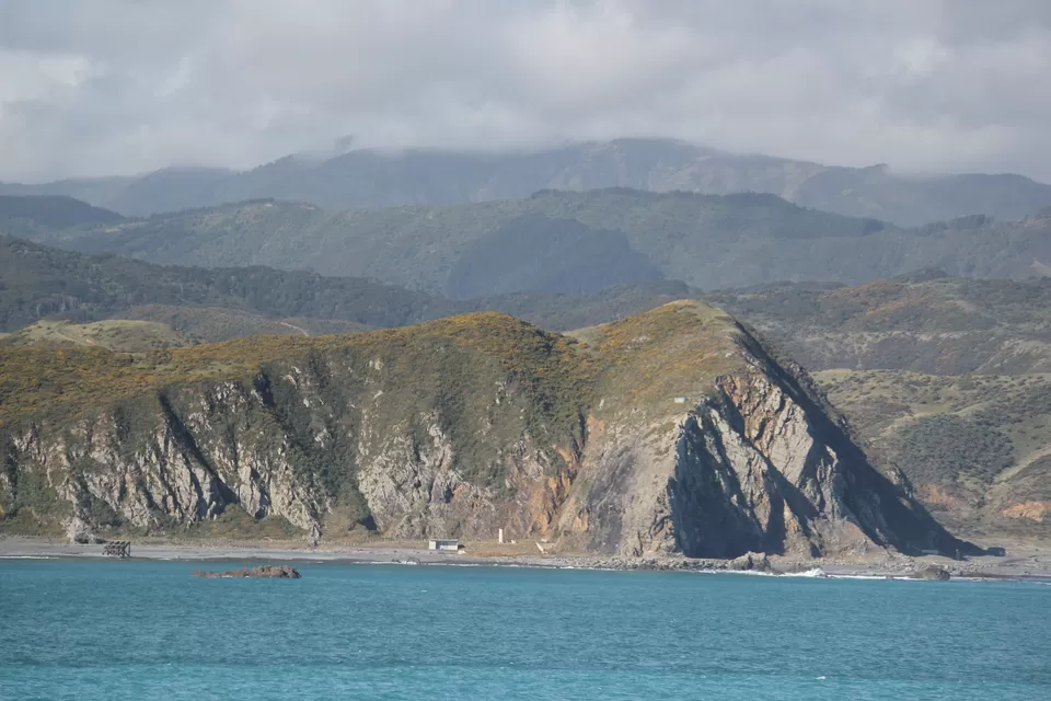 Photo of My Big Kiwi Adventure Log I: That Glorious Journey from Auckland to Marlborough Sounds by Rahul Poonja