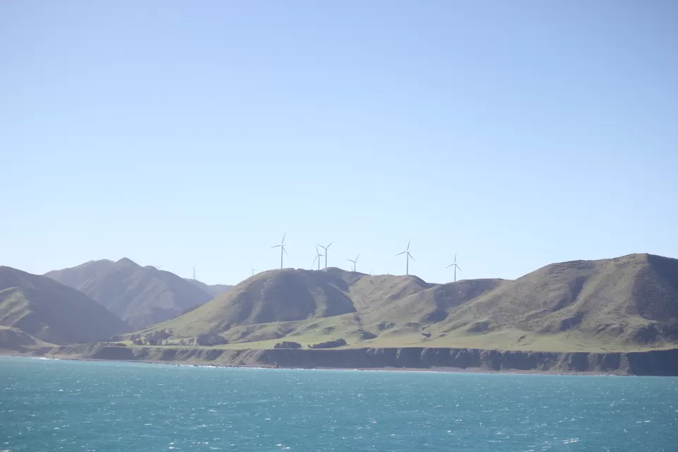 Photo of My Big Kiwi Adventure Log I: That Glorious Journey from Auckland to Marlborough Sounds by Rahul Poonja