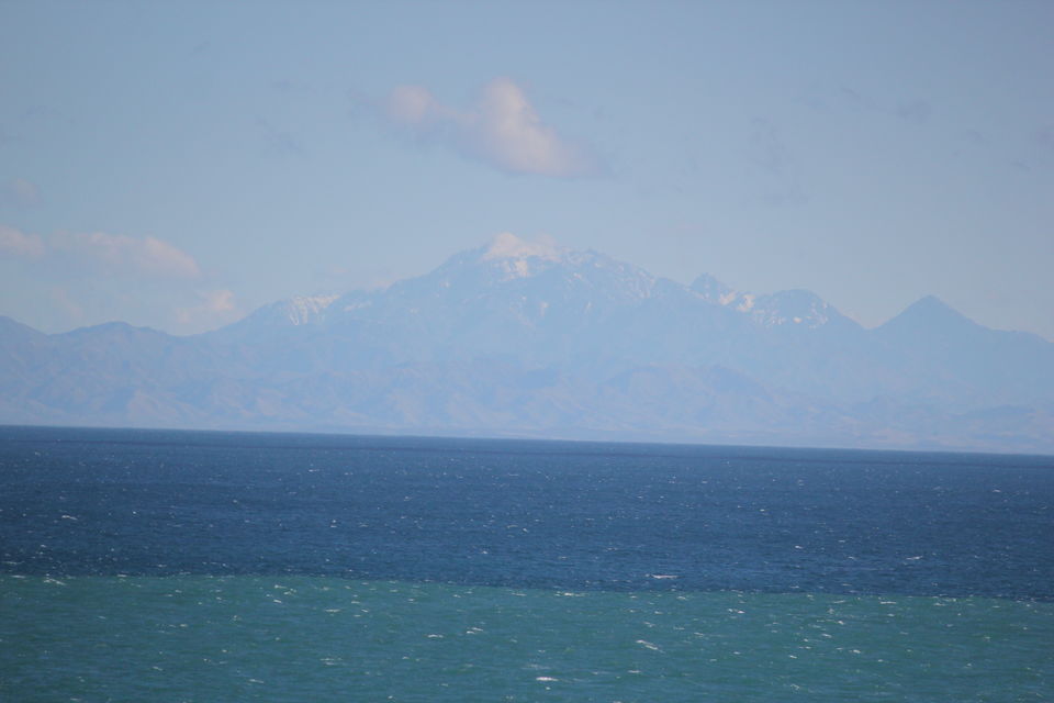 Photo of My Big Kiwi Adventure Log I: That Glorious Journey from Auckland to Marlborough Sounds by Rahul Poonja
