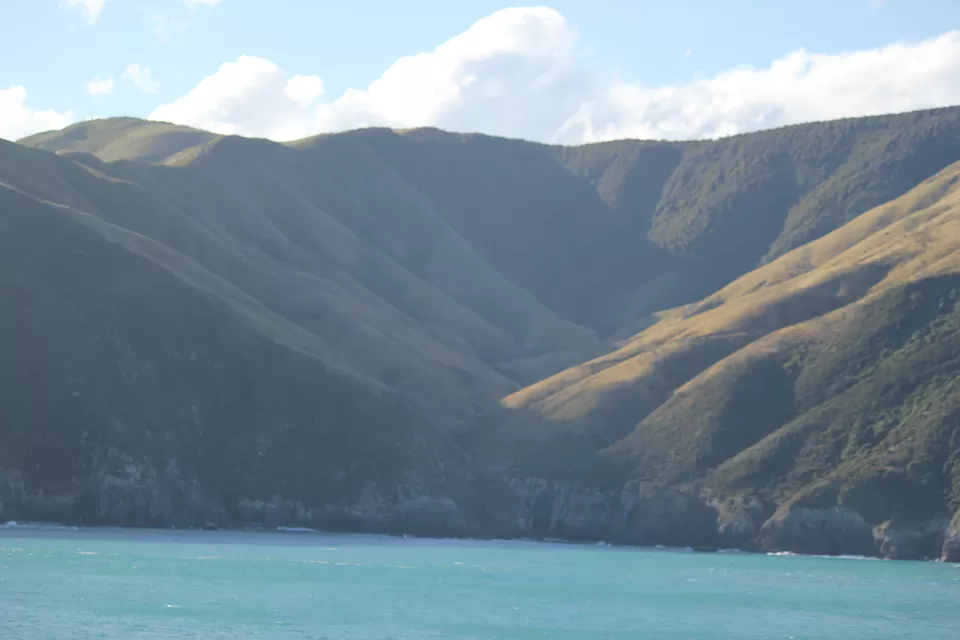 Photo of My Big Kiwi Adventure Log I: That Glorious Journey from Auckland to Marlborough Sounds by Rahul Poonja