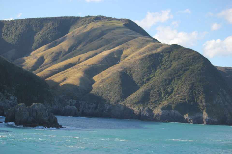 Photo of My Big Kiwi Adventure Log I: That Glorious Journey from Auckland to Marlborough Sounds by Rahul Poonja