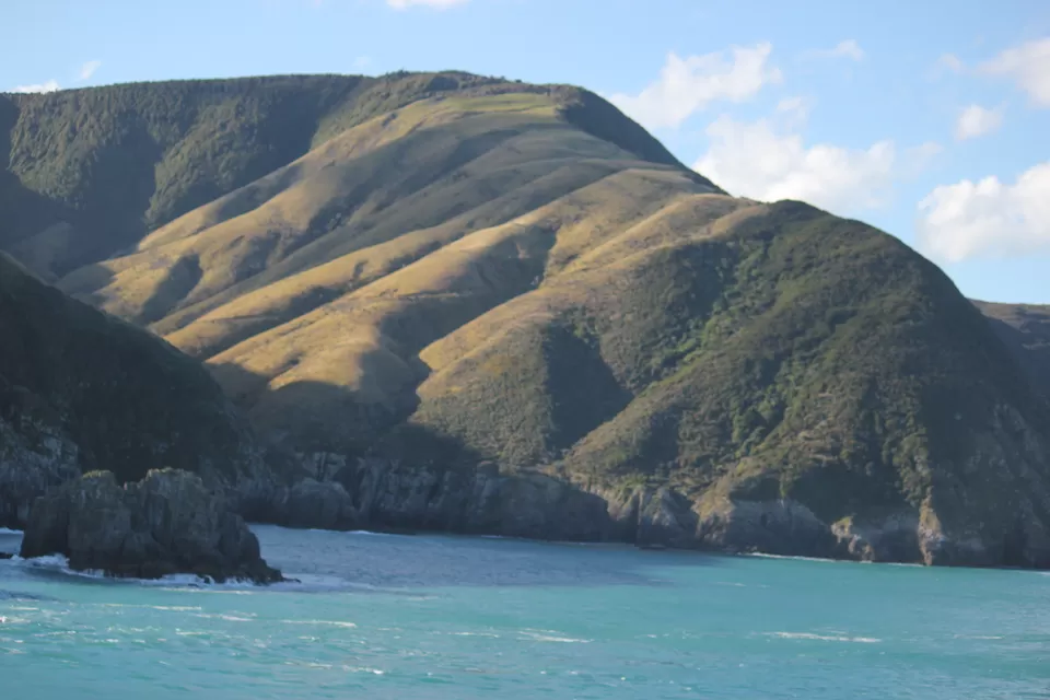 Photo of My Big Kiwi Adventure Log I: That Glorious Journey from Auckland to Marlborough Sounds by Rahul Poonja