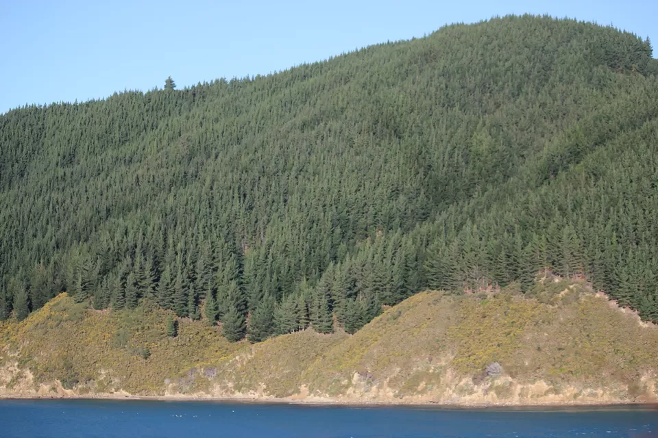 Photo of My Big Kiwi Adventure Log I: That Glorious Journey from Auckland to Marlborough Sounds by Rahul Poonja