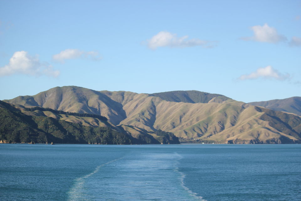 Photo of My Big Kiwi Adventure Log I: That Glorious Journey from Auckland to Marlborough Sounds by Rahul Poonja